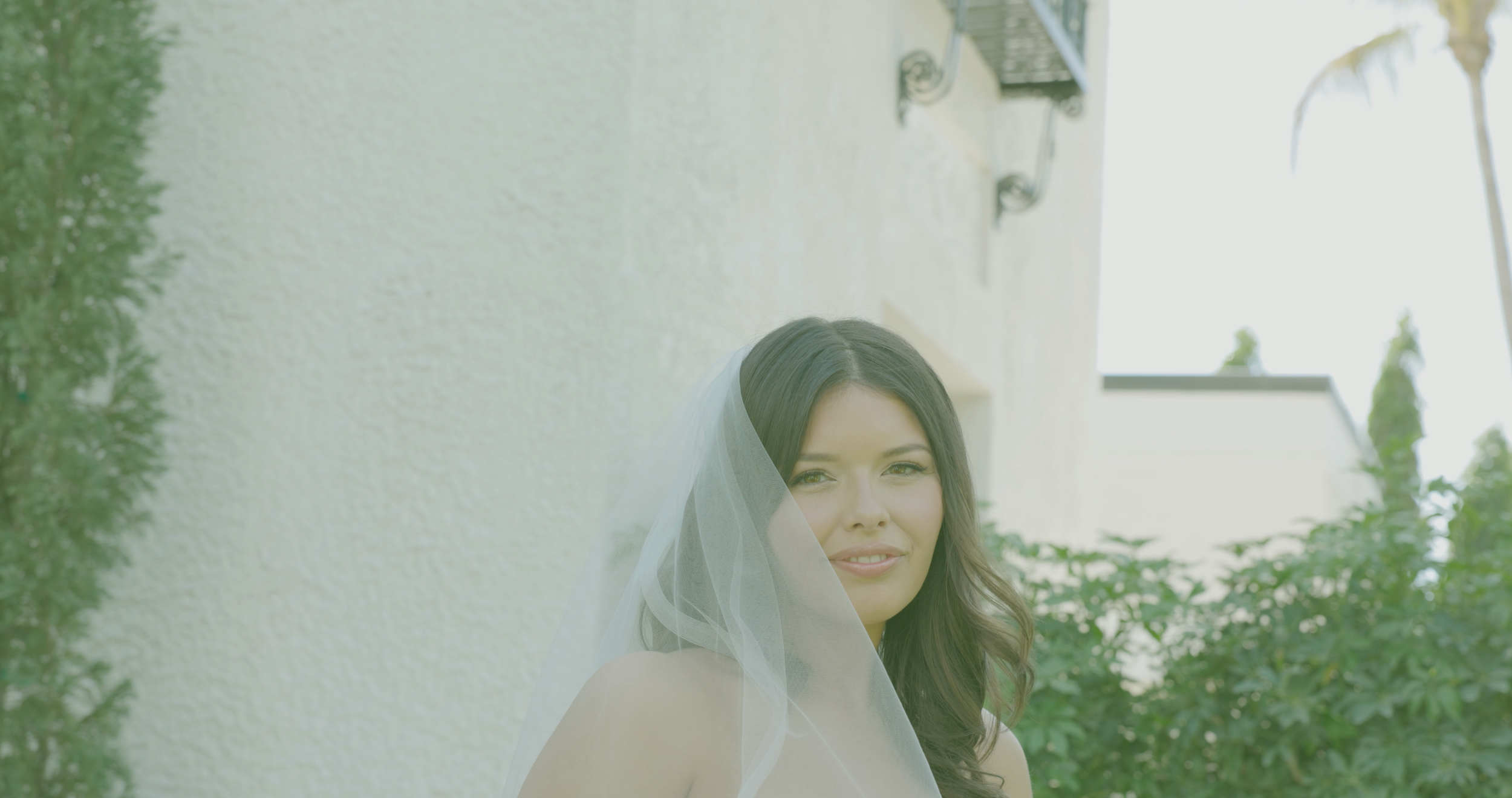 Bride in a veil on her wedding day